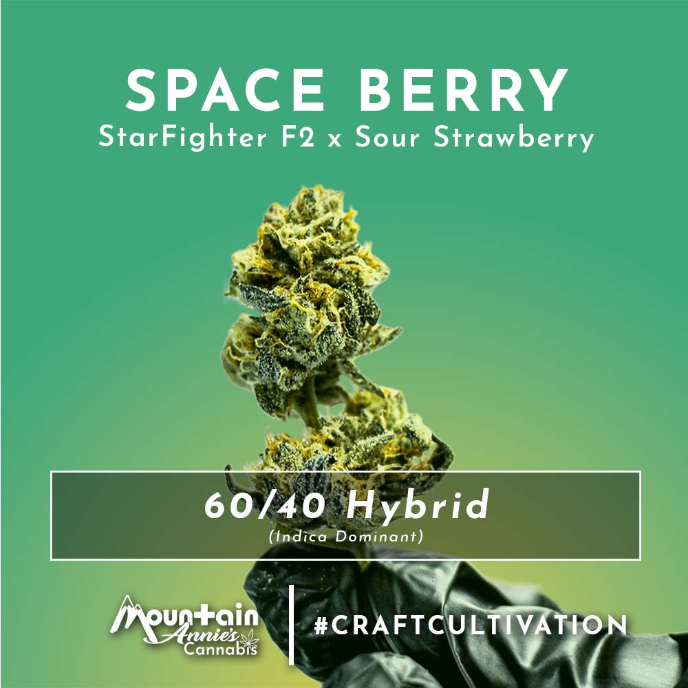 Space Berry Cannabis Strain