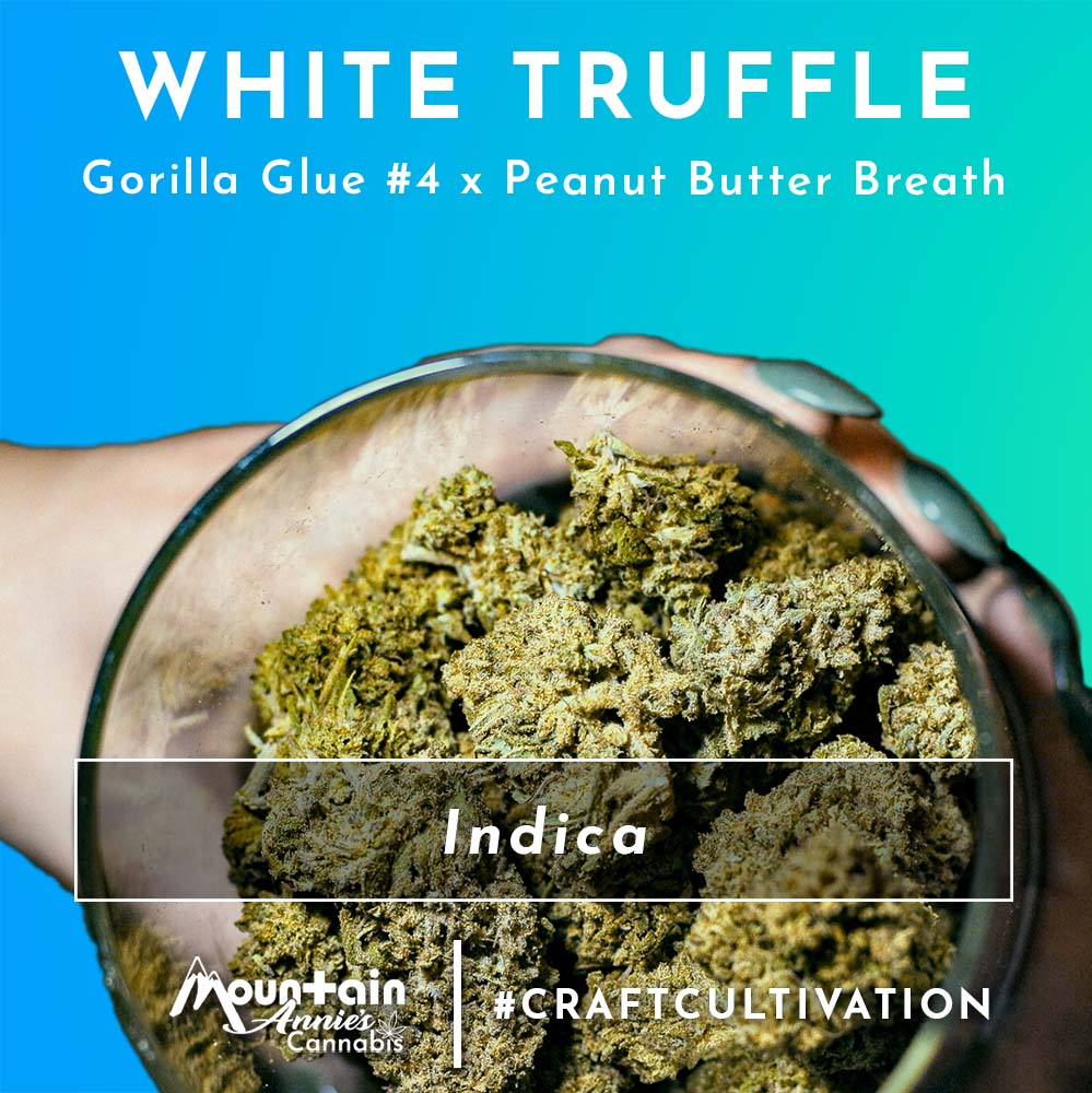 White Truffle cannabis Strain