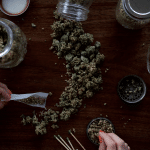 Man mixing marijuana strains