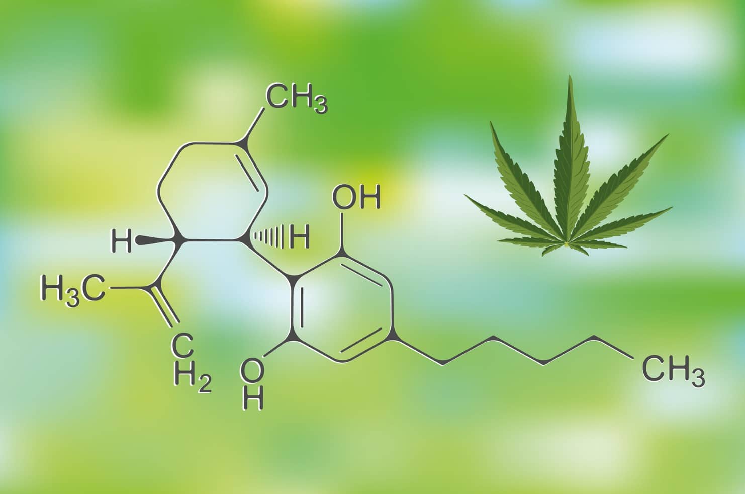 Curious about synthetic cannabinoids? Here's everything you need to know about these substances and how they compare to traditional cannabis.