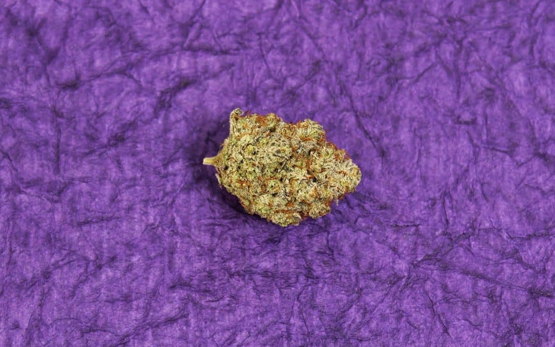 THC Microdosing: How It Works