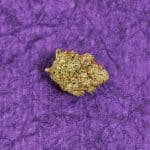 Microdosing Your Cannabis For Benefits